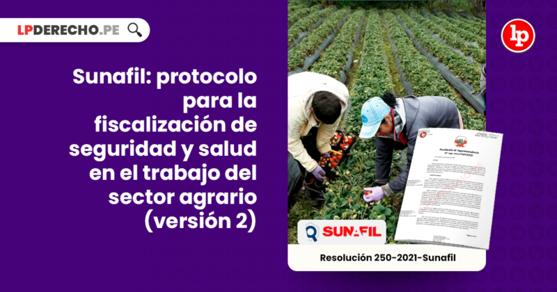 Sunafil Protocolo Para La Fiscalizaci N De Seguridad Y Salud En El