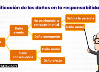 La clasificacion de los danos en la responsabilidad civil - LP
