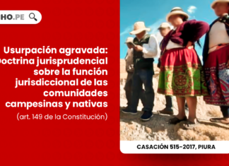 Usurpacion agravada-doctrina jurisprudencial sobre la funcion jurisdiccional de las comunidades campesinas y nativas-penal-LP