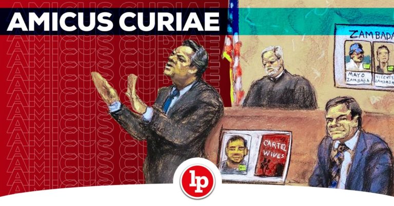 ¿Quién Es Y Qué Hace El «amicus Curiae»? | LP