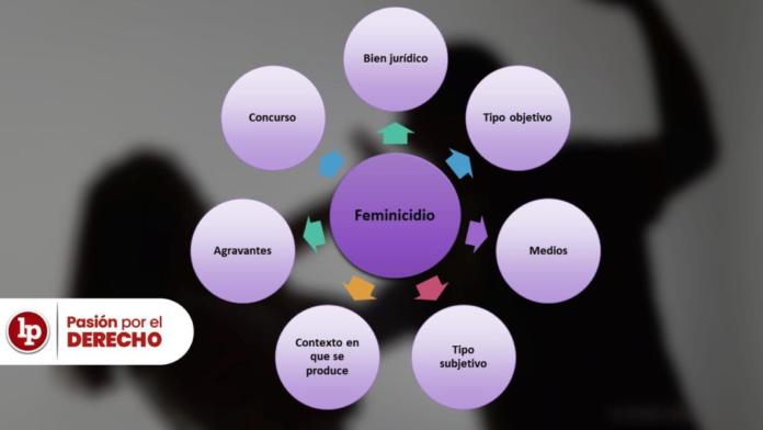 Siete Claves Para Entender El Delito De Feminicidio [acuerdo Plenario 1