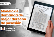 Modelo de demanda de mejor derecho de posesión, por José María Pacori Cari