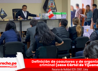 Recurso de Nulidad 828-2007, Lima con logo de jurisprudencia penal y LP