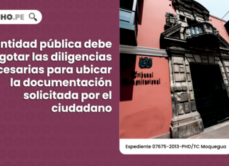 TC entidad publica debe agotar las diligencias necesarias para ubicar la documentacion solicitada por el ciudadano-LP