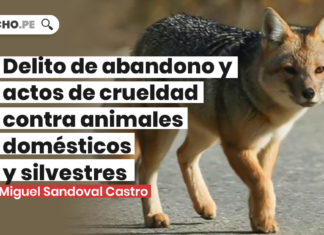 Delito de abandono y actos de crueldad contra animales domesticos y silvestres - LPDerecho