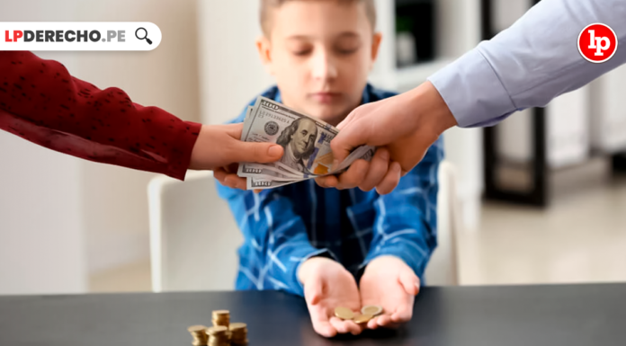 Plantean que pensión de alimentos rija desde la interposición de la demanda y no desde la notificación de esta