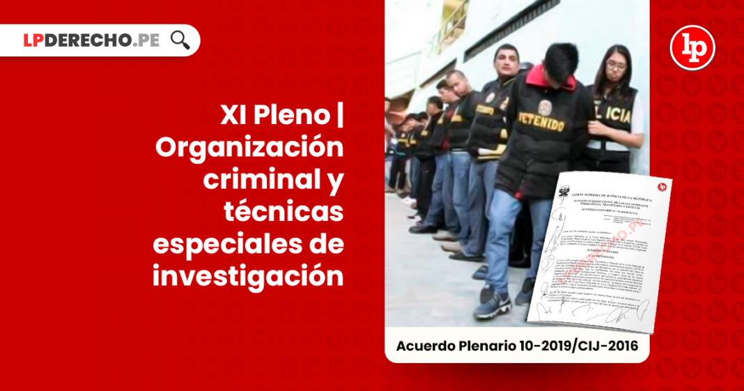 XI pleno-organizacion criminal y tecnicas especiales de investigacion-LP