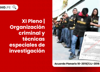 XI pleno-organizacion criminal y tecnicas especiales de investigacion-LP
