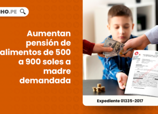 Aumentan pension de alimentos de 500 a 900 soles a madre demandada-LP