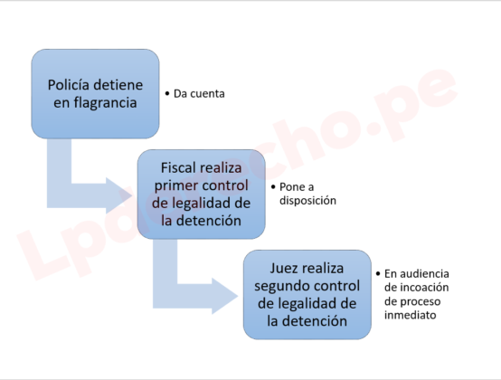 VÍdeo ¿cómo Controlar La Legalidad De Una Detención En Flagrancia Giammpol Taboada En