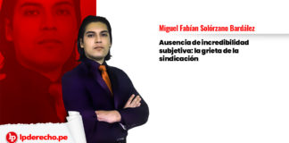 Miguel-Fabián-Solórzano-Bardález-LP
