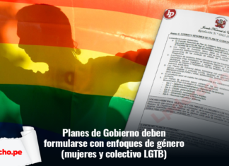 comunidad lgbt resolución 0305-2015-JNE con logo LP