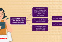 Esquema de los bienes de la sociedad de gananciales con logo LP