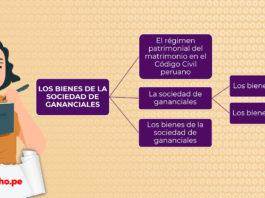 Esquema de los bienes de la sociedad de gananciales con logo LP
