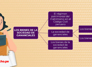Esquema de los bienes de la sociedad de gananciales con logo LP