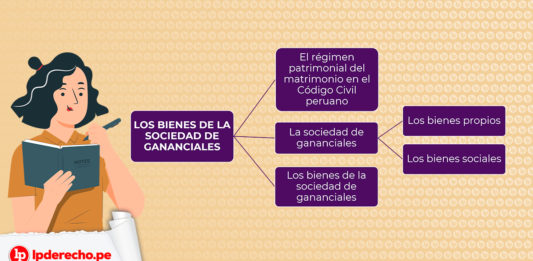 Esquema de los bienes de la sociedad de gananciales con logo LP
