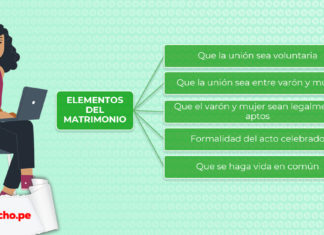 Matrimonio y sus elementos con logo LP