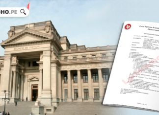 descargue en pdf plenos civiles-LP