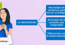 esquemas sobre la indignidad con logo LPderecho