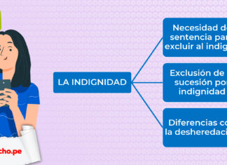 esquemas sobre la indignidad con logo LPderecho