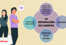 separación de cuerpos con logo LP