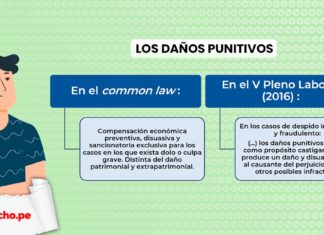 Los daños punitivos con logo LP