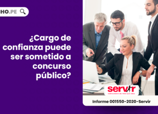 Cargo de confianza puede ser sometido a concurso publico-LP