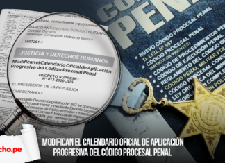 Decreto Supremo 013-2020-JUS Código Procesal Penal con logo LP