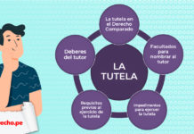 esquema sobre tutela