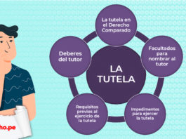 esquema sobre tutela