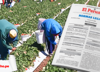 trabajadores agrarios con norma legal y pestaña lp