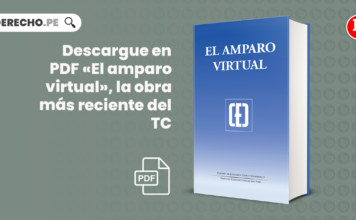 Descargue en PDF «El amparo virtual», la obra más reciente del TC