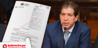 Jurisprudencia penal Ivan Noguera con logo de LP
