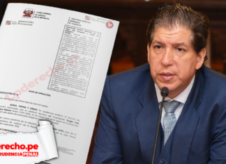 Jurisprudencia penal Ivan Noguera con logo de LP