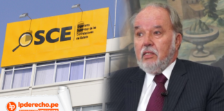 Jurisprudencia contitucional Domingo Garcia Belaunde OSCE con logo de LP