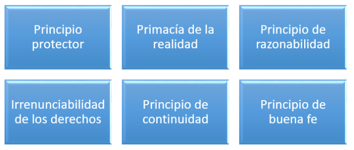 ¿Qué Y Cuáles Son Los Principios Del Derecho Del Trabajo? | LP