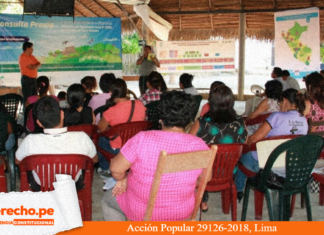 Accion Popular 29126-2018, Lima con logo de jurisprudencia constitucional y LP