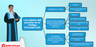 esquema de los sujetos intervinientes en el proceso civil - LP