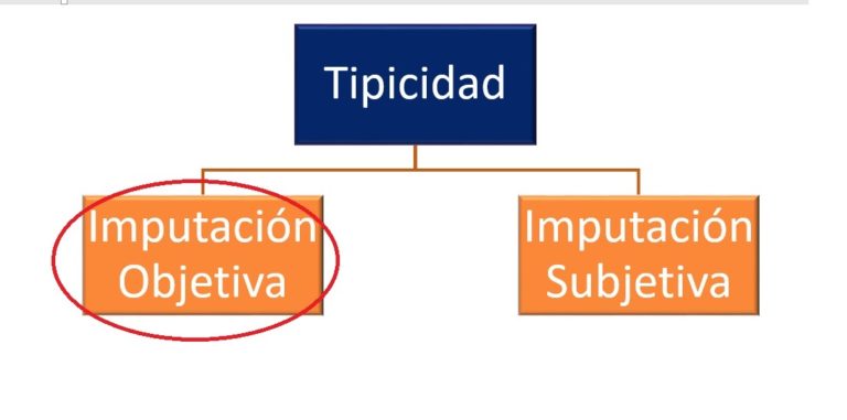 Lo Que Debes Conocer Sobre La Teoría De La Imputación Objetiva | LP