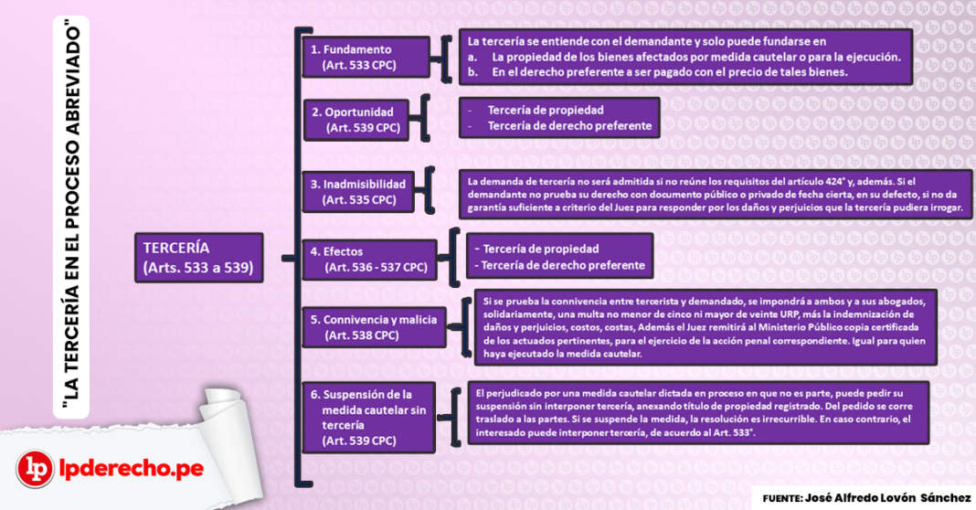 La Tercería De Propiedad Y De Derecho Preferente En El Proceso ...