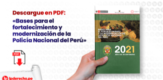 Bases para el fortalecimiento y modernización de la Policía Nacional del Perú
