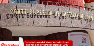 Conclusiones del Pleno Jurisdiccional distrital penal y procesal penal 2020