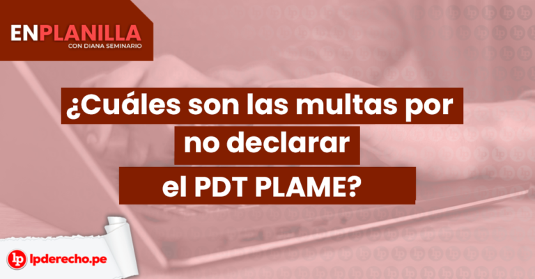 ¿cuáles Son Las Multas Por No Declarar El Pdt Plame Lp