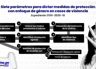 Siete parámetros para dictar medidas de protección con enfoque de género en casos de violencia