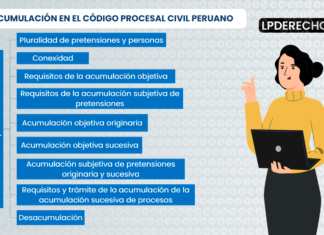 Acumulacion procesal en el Codigo Civil peruano-LP