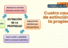 Cuatro causas-extincion-de la propiedad-LP