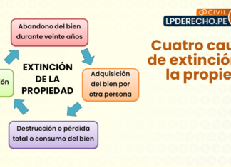 Cuatro causas-extincion-de la propiedad-LP