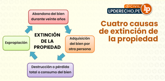 Cuatro causas-extincion-de la propiedad-LP