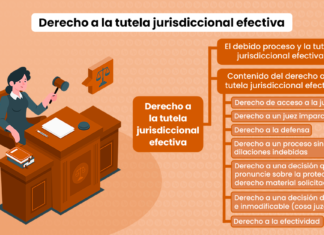 Derecho a la tutela jurisdiccional efectiva: Artículo I del Título Preliminar del Código Procesal Civil