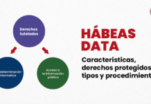 Hábeas data: características, derechos protegidos, tipos y procedimiento